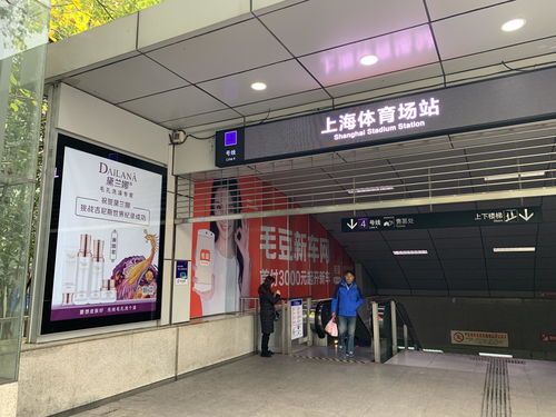 黛蘭娜品牌形象廣告在上海主要地鐵口隆重上線